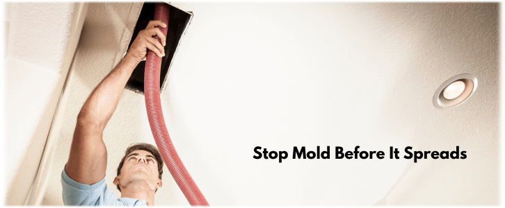 Air Duct Mold Removal in Chandler AZ