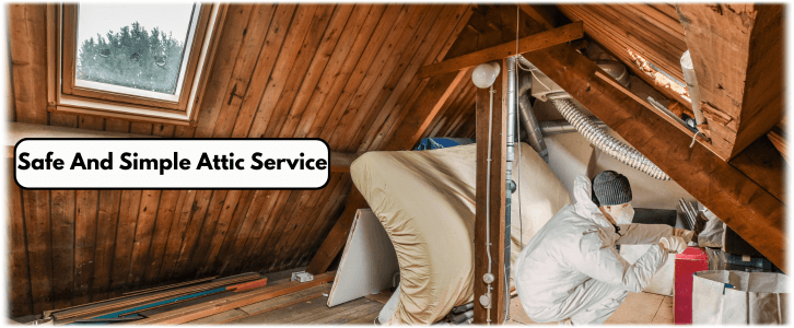 Attic Cleaning Chandler AZ